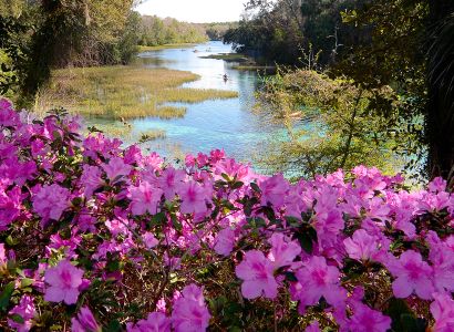 Rainbow River Headsprings - Courtesy of Julie Mancini Photography